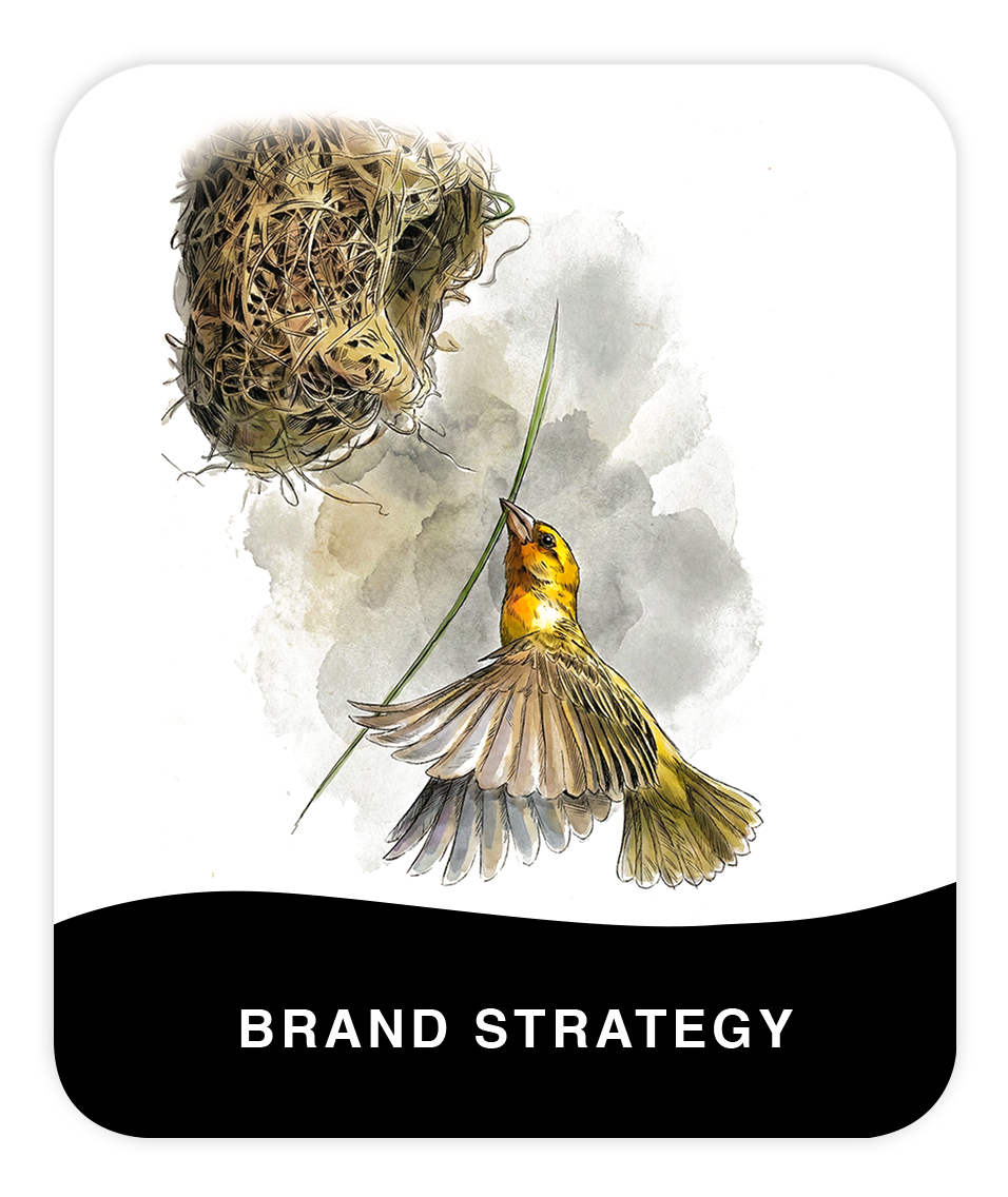 Brand Strategy
